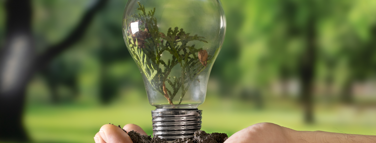 Imagem de Peso das energias renováveis caiu 5,2 % nos Açores