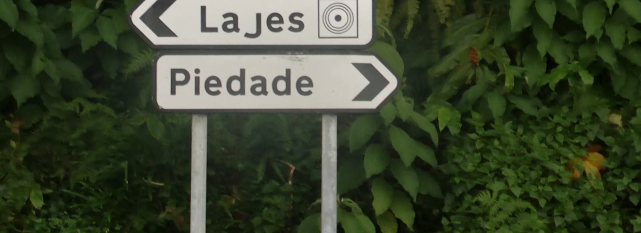 Imagem de Assembleia Municipal das Lajes aprova voto de protesto pela falta de segurança na Estrada Regional entre Lajes e Piedade