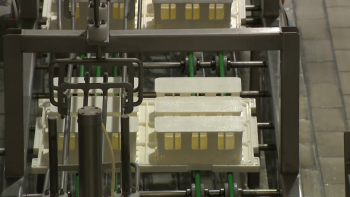 Imagem de Exportação laticínios: Martins & Rebello e Lactaçores assinam acordo de parceria