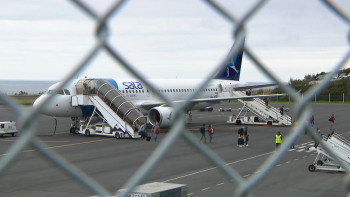 Imagem de Conselho Ilha do Faial acusa SATA de prejudicar a economia da ilha