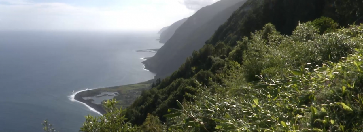 Imagem de Estrada de acesso à Fajã dos Cubres foi reaberta