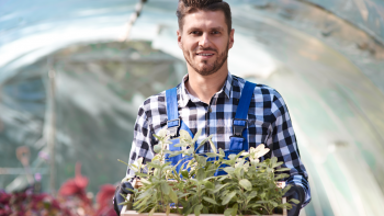 Imagem de Abertas candidaturas ao apoio à instalação de jovens agricultores