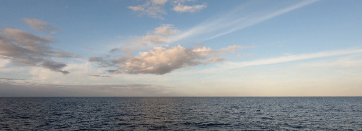 Imagem de Nova Rede de Áreas Marinhas Protegidas entra hoje em vigor