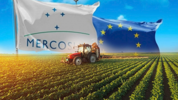 Imagem de UE e Mercosul assinam hoje acordo que abre portas à criação da maior zona de livre-comércio do mundo