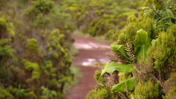 Imagem de Centros Ambientais e Parques Naturais: Nova App garante mais acessibilidade e inclusão nas visitas
