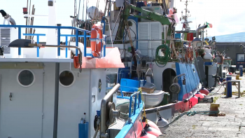 Imagem de ALRAA: Chumbada proposta do BE para compensar pescadores das quebras nas capturas devido às novas Áreas Marinhas Protegidas