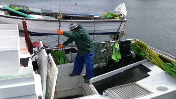 Imagem de Fundo Ambiental vai transferir 10M€ de compensação aos pescadores pela implementação da RAMPA até 2028