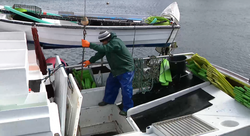 Imagem de Fundo Ambiental vai transferir 10M€ de compensação aos pescadores pela implementação da RAMPA até 2028