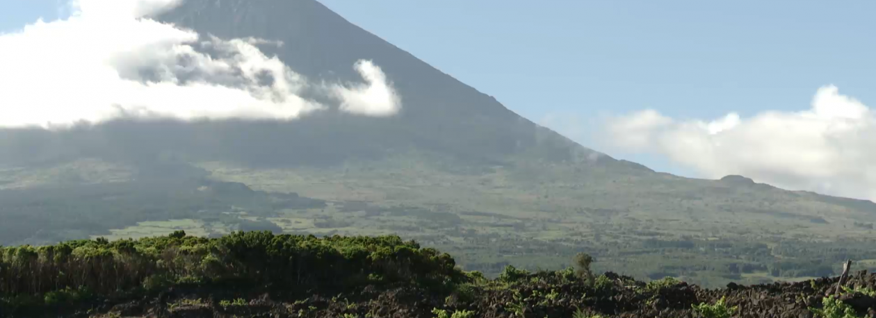 Imagem de Falta de transporte marítimo de mercadorias deixa ilha do Pico sem produtos para revenda