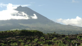 Imagem de Grupo Aeroporto do Pico satisfeito com reforço das ligações da SATA à ilha no verão