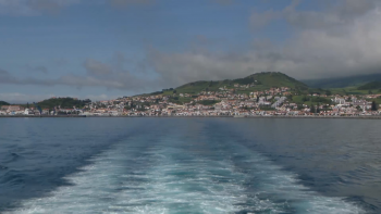 Imagem de Portos dos Açores lança concurso para dois rebocadores elétricos de 30M€