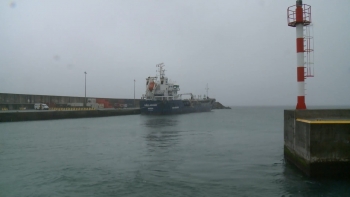 Imagem de Retidas cerca de 30 carcaças de bovino na Graciosa