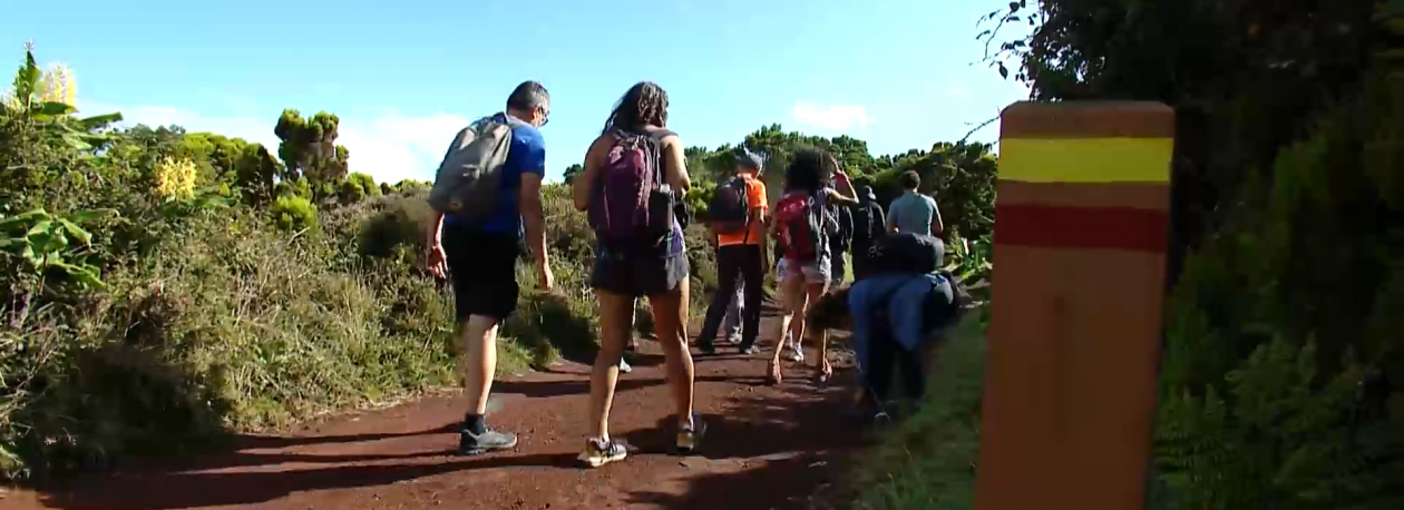 Imagem de Turismo em trilhos não homologados: É necessário criar regras para garantir segurança