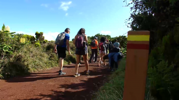 Imagem de Turismo em trilhos não homologados: É necessário criar regras para garantir segurança