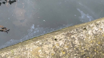 Imagem de Paúl da Praia Vitória com focos de poluição por hidrocarbonetos