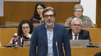 Imagem de Proteção Arvoredo na Região: PAN acusa Sec. da Agricultura de desonestidade intelectual na regulamentação