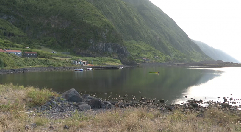 Imagem de Proibida a apanha de amêijoa na Fajã de Santo Cristo em São Jorge