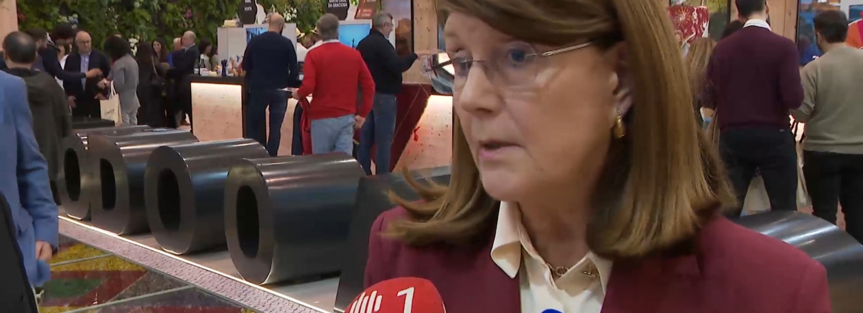 Imagem de Berta Cabral acredita que TAP e SATA vão conseguir dar resposta à procura com reforço de ligações