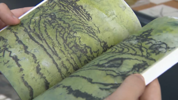 Imagem de Nova obra poética de Rita Gomes conta com colaboração do artista plástico Urbano