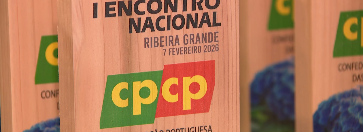 Imagem de Representantes das Casas do Povo garantem ser um braço do Estado mas criticam orçamentos curtos