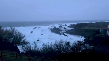 Imagem de Depressão Leonardo: Flores e Corvo em Alerta Vermelho hoje para agitação marítima