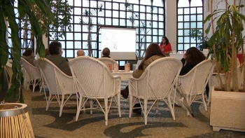 Imagem de Dia Mundial do Cancro: Workshop sobre cuidados que doentes oncológicos devem ter com a pele no Faial