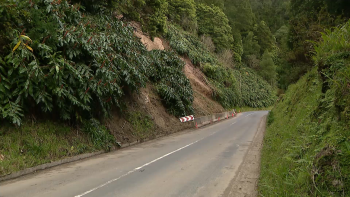 Imagem de Governo quer avançar com regime de concessão viária para a construção da estrada Povoação-Furnas