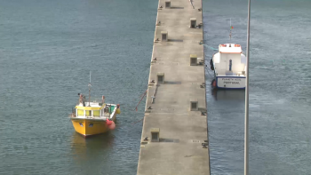 Imagem de Sindicato Livre dos Pescadores reivindica ativação do FundoPesca