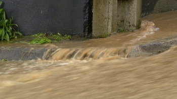 Imagem de Mau tempo: Proteção Civil regista 13 ocorrências