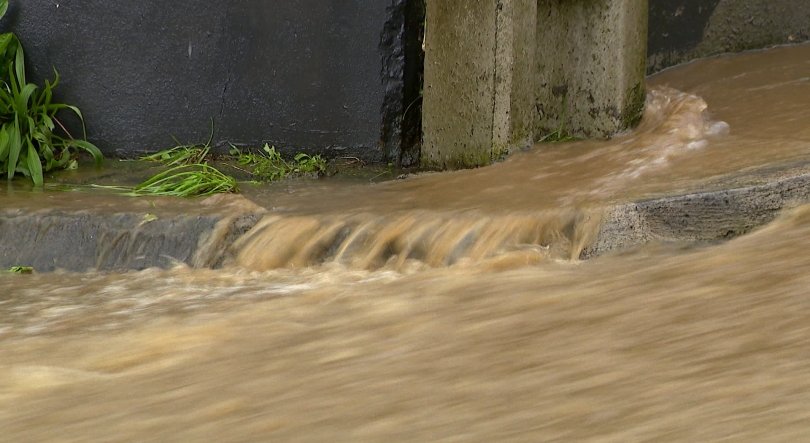 Imagem de Mau tempo: Proteção Civil regista 13 ocorrências