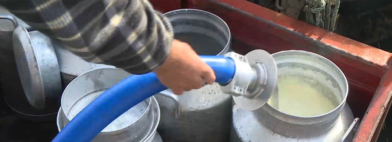 Imagem de Preço Leite: Cooperativa UNICOL anuncia descida de 3 cêntimos por litro