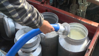 Imagem de Preço Leite: Cooperativa UNICOL anuncia descida de 3 cêntimos por litro