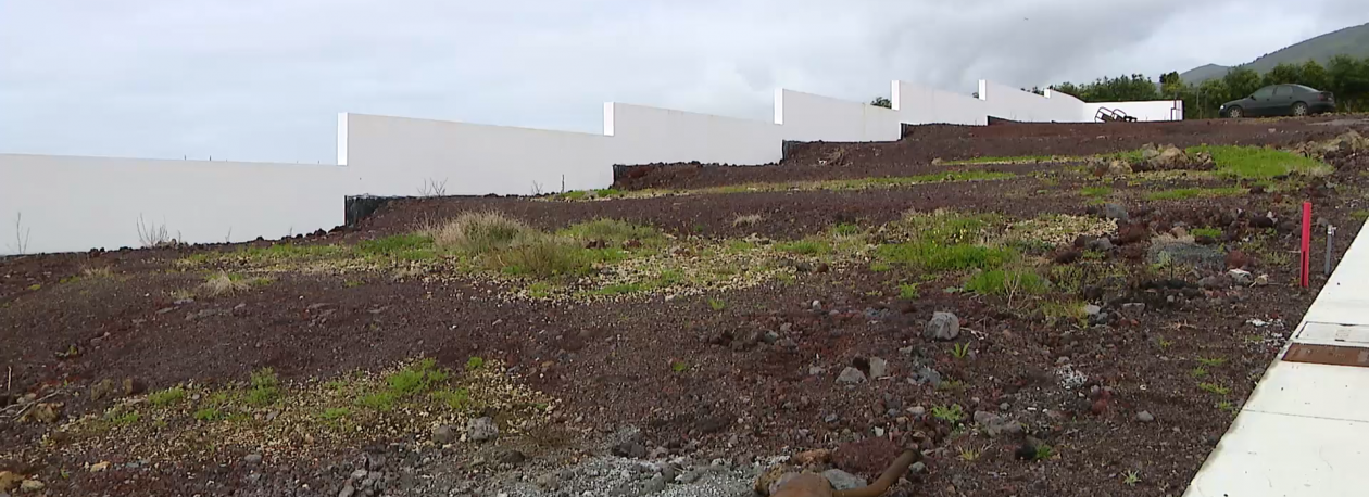 Imagem de Governo reforça apoios à autoconstrução em lotes privados ou cedidos pela Região