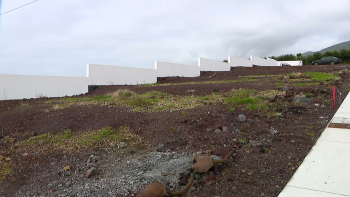 Imagem de Governo reforça apoios à autoconstrução em lotes privados ou cedidos pela Região