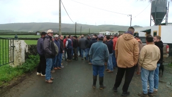 Imagem de Uma centena de lavradores em protesto na Terceira contra descida do preço do leite pela UNICOL