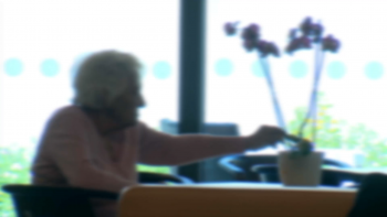 Imagem de Obra “Os Velhos” de Paula de Sousa Lima em debate na Biblioteca Tomaz Borba Vieira