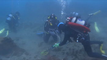 Imagem de Apresentada hoje a petição para abertura de um Museu Nacional de Arqueologia Náutica e Subaquática nos Açores