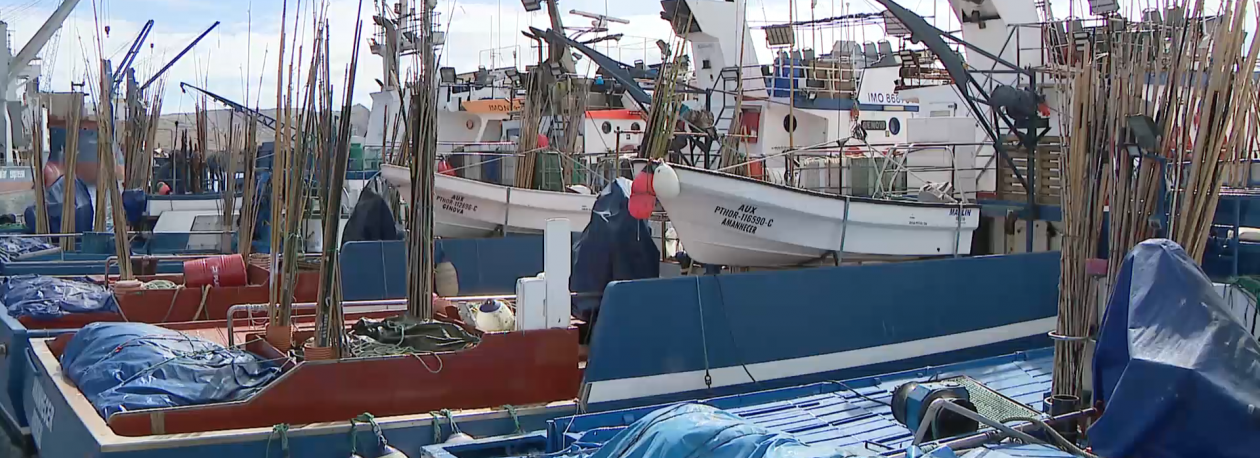 Imagem de Quota do atum rabilho sobe 21% para Açores e Madeira