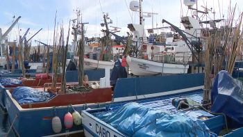 Imagem de Quota do atum rabilho sobe 21% para Açores e Madeira