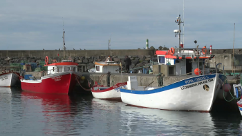 Imagem de Federação das Pescas diz que aumento do preço dos combustíveis ameaça sustentabilidade do setor