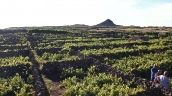 Imagem de PAC: Tribunal de Contas Europeu alerta para “mais instabilidade e menos previsibilidade” para RUP