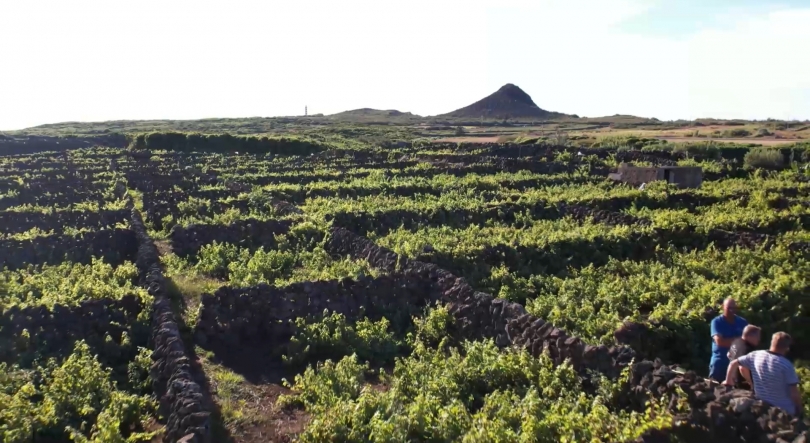 Imagem de PAC: Tribunal de Contas Europeu alerta para “mais instabilidade e menos previsibilidade” para RUP
