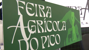 Imagem de Feira Agrícola da Ilha do Pico realiza-se em maio