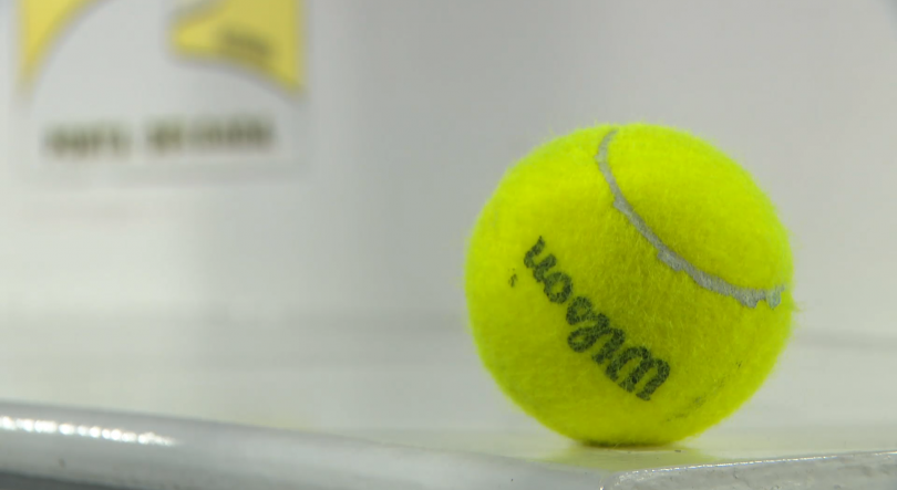 Imagem de FIP Gold Ponta Delgada: Prova conta com alguns dos melhores jogadores do mundo