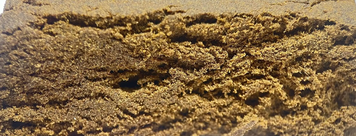 Imagem de Homem detido na ilha Terceira com 69 mil doses de haxixe