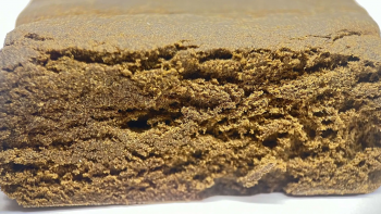 Imagem de Homem detido na ilha Terceira com 69 mil doses de haxixe