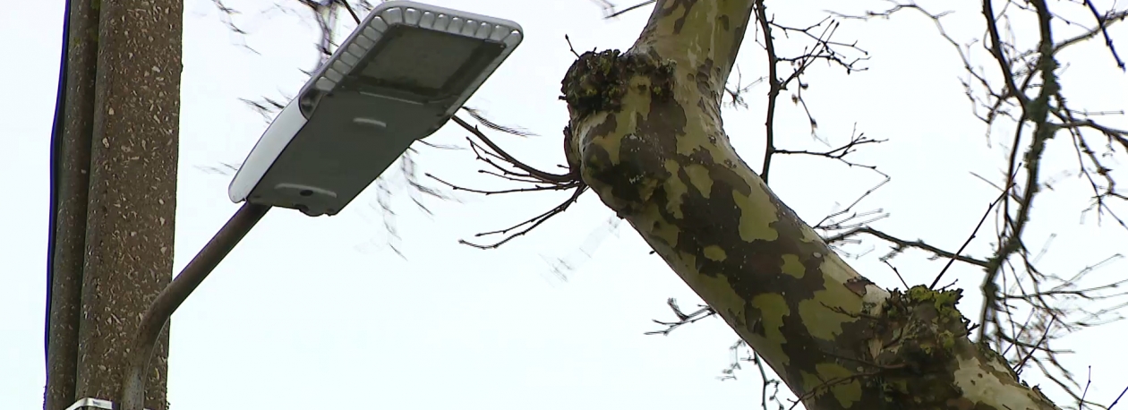 Imagem de Depressão Therese: Número de ocorrências aumenta para 50