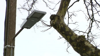 Imagem de Depressão Therese: Número de ocorrências aumenta para 50