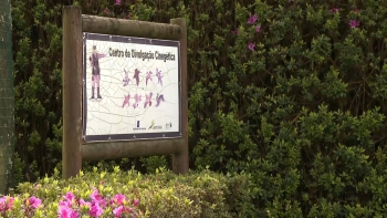 Imagem de António Vntura diz que período de caça nos Açores decorreu com normalidade