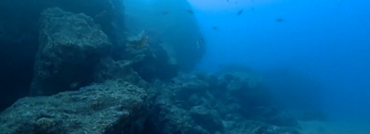 Imagem de 7ª edição do Bio Talks dedicado à ciência e ao ambiente